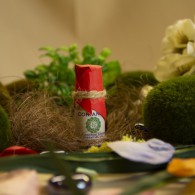 Эфирное масло Кориандра